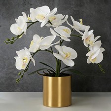 Orchidée Artificielle avec