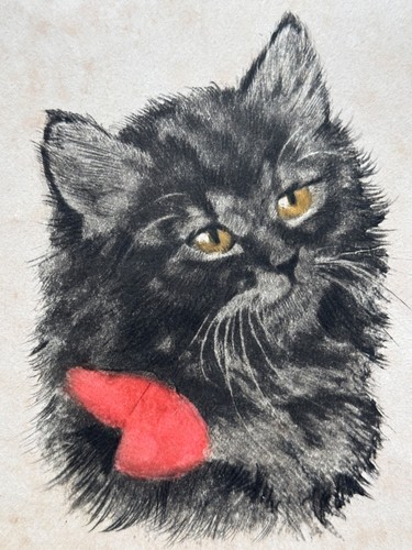 Ancienne gravure couleur