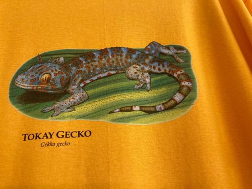 Tokay gecko unisex shirt - tokay,