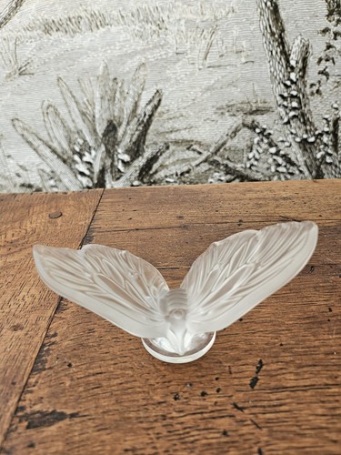 Lalique france papillon ailes - france,
