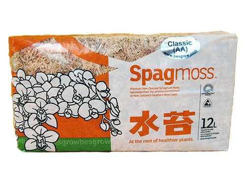 Fibre sphaigne de - de,