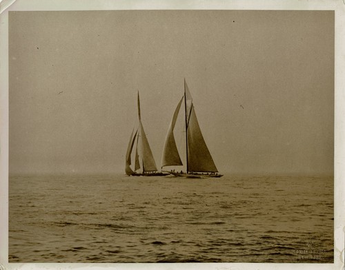 America cup entre 1900 et - cup,