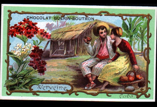 Image chocolat guerin boutron - image,