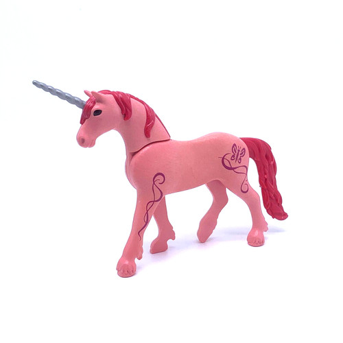 Playmobil pays magique - pays,