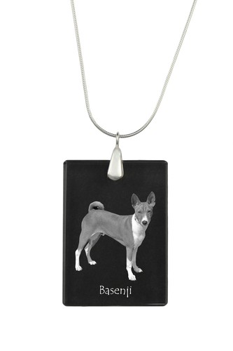 Basenji kongo terrier - basenji,, kongo-terrier