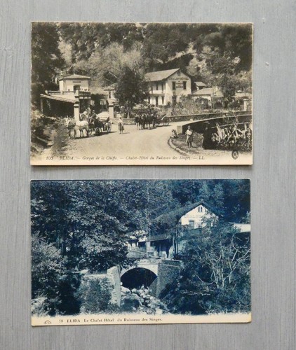 Lot cpa algérie - lot, 2