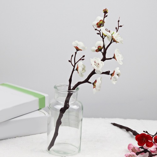 Pour décoration bureau - , fleurs