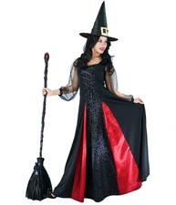 Costume de sorcière