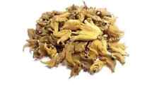 Salam Panja dactylorhiza hatagirea 100 orchidée pure hatajari salem misri.