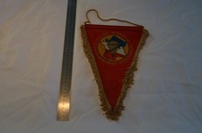 FANION REGIMENTAIRE CENTRE NATIONAL D'ENTRAINEMENT COMMANDO