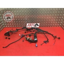 Faisceau électrique principale Honda CBR 1000 2008 à 2011 SC59