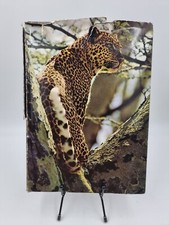 Livre Zoo – Afrique Orientale d’occasion