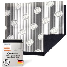Filtre à charbon actif pour