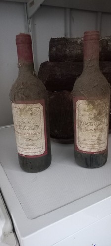 Bouteilles puisseguin st - 2,