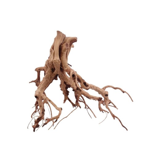 Flowerwurzel 4114 taille l - flowerwurzel,