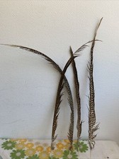 4 Plumes De Faisan Queue Décoration 50/60 Cm