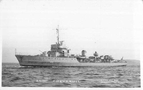 Aviso chevreuil 63181 - cp,