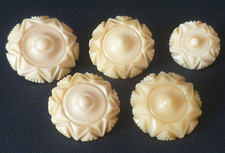 5 ANCIENS BOUTONS FIN XIXèmè DÉBUT XXème OS SCULPTÉ