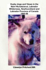 Husky dogs and - views, in