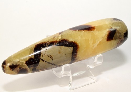Naturel septarian dragon - ",