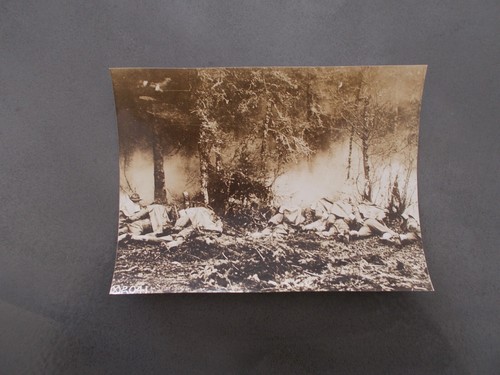 Photo originale guerre - photo,