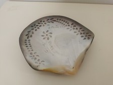 Coquillage nacre Tahiti