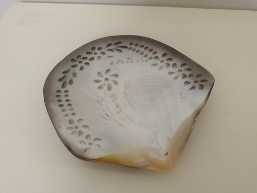 Coquillage nacre tahiti - coquillage,