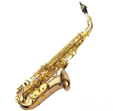 Yanagisawa wo20 alto - yanagisawa, a-wo20