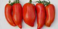 Tomate allemande Howard - Héritage en forme de paprika Amish - 5+ graines - G...