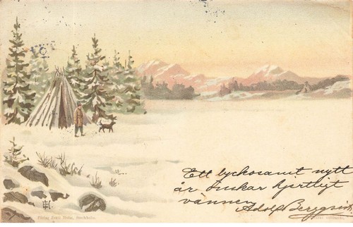 Suède lapon et - lapon, chien