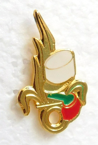Pin militaire képi légion - pin's,