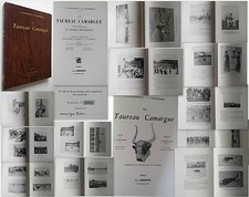 Le Taureau Camargue -