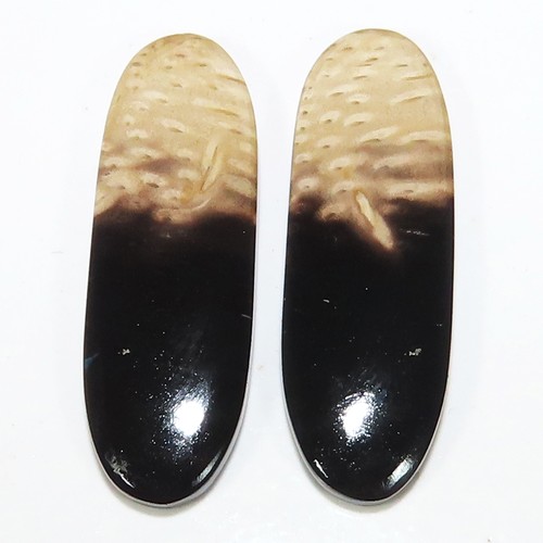 Paire cabochons ovale bois - de,