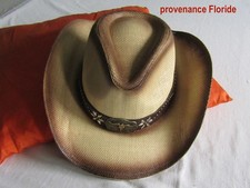 Chapeau Cowboy ou Cowgirl Western Straw avec bandes décoratives (country)