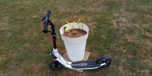 Trotinette adulte decathlon - trotinette,