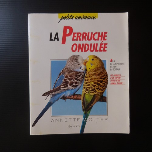 N9454 perruche ondulée - perruche,