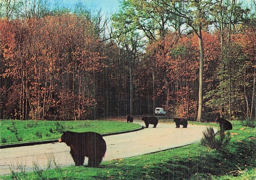 Peaugres safari parc de - peaugres,