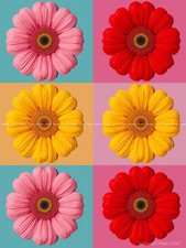 Photo A4 Floral Kawaii Moderne