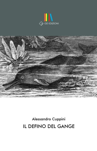 Alessandro cuppini delfino - alessandro,