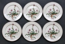 6 superbes ASSIETTES A DESSERT signées VILLEROY & BOCH modèle BOTANICA 21cm