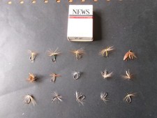 15 véritables mouches de