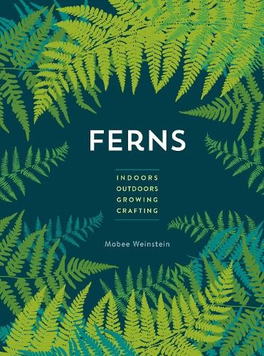 Mobee weinstein ferns - weinstein, (poche)