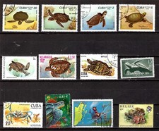 PM146  TOUS PAYS Tortues de terre, de mer et les crabes 