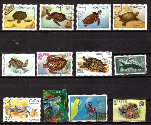 Pm146 tous pays tortues de - tortues,