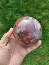 Bois Fossile Forme Sphère