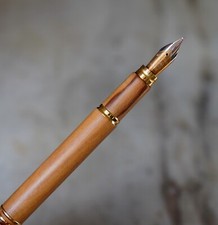 STYLO PLUME WATERMAN MAN 100