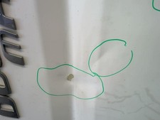 Porte de coffre droit FIAT