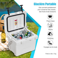 Glacière Électrique Réfrigérateur Portable 15 L Silencieux Frigo Voiture Blanc