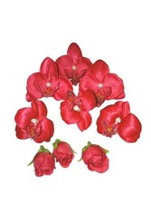 Orchidées en tissu rouge