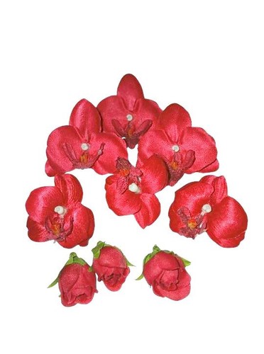Orchidées tissu rouge - orchidées, en